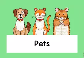 Vorschau - Poster - Themenplakat Pets - Einheitsposter - Seite 3