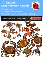 Vorschau - selbst erstellte Cliparts/Grafiken - Krabbe Lebenszyklen Clipart - Deckblatt