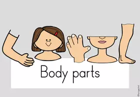 Vorschau - Poster - Themenplakat Body parts - Einheitsposter - Seite 1