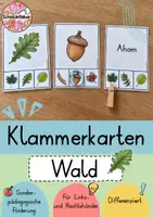 Vorschau - Fördermaterial/Inklusion - Klammerkarten, Früchte und Blätter, Wald - Deckblatt