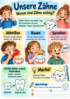Vorschau - Arbeitsblätter - 🦷 Unsere Zähne – Aufbau, Pflege und Zahnwechsel - Seite 1