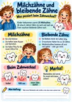 Vorschau - Arbeitsblätter - 🦷 Unsere Zähne – Aufbau, Pflege und Zahnwechsel - Seite 2