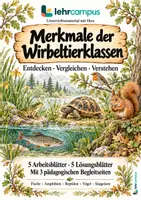 Vorschau - Arbeitsblätter - Wirbeltiere – Das große Materialpaket 🐸🐟🐢🐦🐿️ - Seite 1
