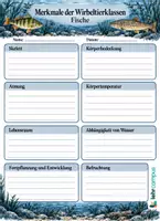 Vorschau - Arbeitsblätter - Wirbeltiere – Das große Materialpaket 🐸🐟🐢🐦🐿️ - Seite 2