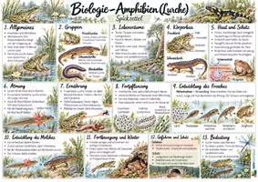 Vorschau - Poster - Amphibien – Spickzettel mit pädagogischen Begleitseiten - Seite 1