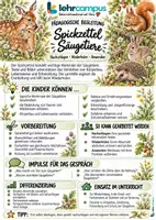 Vorschau - Poster - Säugetiere – Spickzettel mit pädagogischen Begleitseiten - Seite 2