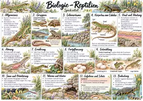 Vorschau - Poster - Reptilien – Spickzettel mit pädagogischen Begleitseiten - Seite 1