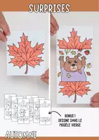 Aperçu - Matériel pour travaux manuels / dessin - Bricolage d’automne - 6 feuilles surprises à colorier et plier - Page de couverture