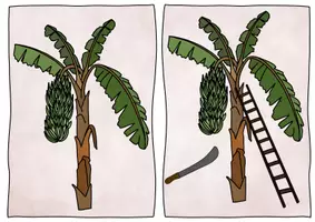 Vorschau - Präsentationen/Tafelbilder - Tafelmaterial Woher kommt das Obst ? - Bildkarten & Textkarten - Seite 3