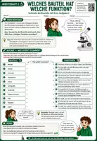 Vorschau - Unterrichtsreihen - 🔬🌱 Rund um die Zelle – Biologie (Bio) Materialpaket 🧫☀️ | Mikroskopieren, Pflanzen- & Tierzelle, Fotosynthese & Zellatmung | Klasse 7,8 - Seite 2