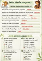 Vorschau - Arbeitsblätter - 🥗 Die Verdauungsorgane – Der Weg der Nahrung durch unseren Körper Klasse 7/8 Biologie (Bio) - Seite 3