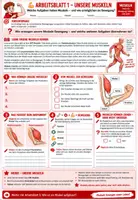 Vorschau - Unterrichtsreihen - 💪🦴 Muskeln – Komplettpaket 🔬↔️ | Muskelaufbau, Bewegung & Gegenspielerprinzip | 3 Arbeitsblätter ✏️ Lösungen ✅ Einstieg 💡 Ausstieg 🏆 Unterrichtsablauf 👩🏫 | Klasse 7–8 Biologie (Bio) 🎓 - Seite 1