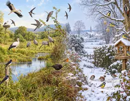 Vorschau - Poster - Zugvögel und Standvögel im Winter – Komplettpaket mit Wimmelbild und Legematerial - Deckblatt