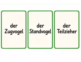 Vorschau - Poster - Zugvögel und Standvögel im Winter – Komplettpaket mit Wimmelbild und Legematerial - Seite 1