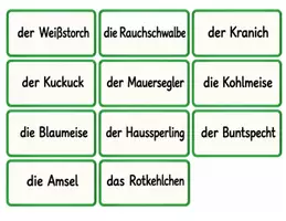 Vorschau - Poster - Zugvögel und Standvögel im Winter – Komplettpaket mit Wimmelbild und Legematerial - Seite 2