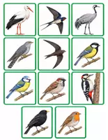 Vorschau - Poster - Zugvögel und Standvögel im Winter – Komplettpaket mit Wimmelbild und Legematerial - Seite 3