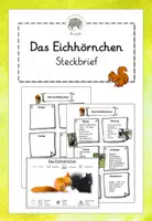 Vorschau - Arbeitsblätter - Das Eichhörnchen: Steckbrief (Poster, Vorlage, ausgefüllt, ergänzende Infos) - Deckblatt