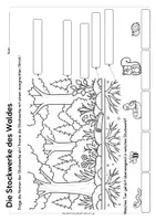 Vorschau - Unterrichtsreihen - Der Wald - Stockwerke des Waldes | Klasse 3-4 - Seite 3