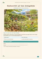 Vorschau - Arbeitsblätter - Biodiversität auf dem Schulgelände | Klasse 3/4 - Deckblatt