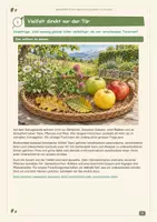 Vorschau - Arbeitsblätter - Biodiversität auf dem Schulgelände | Klasse 3/4 - Seite 3