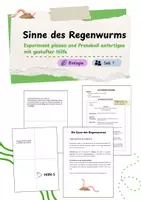 Vorschau - Experimente - Sinne des Regenwurms - Experiment mit gestufter Hilfe planen - Deckblatt