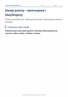 zapowiedź - 🐞 Owady jesienią – obserwujemy i klasyfikujemy - obwoluta