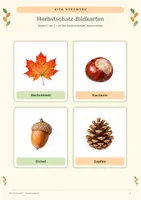 Vorschau - Spiele - Herbstschätze – Schauen, merken, entdecken | Merkspiel für die Kita - Seite 3