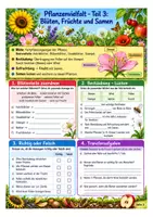 Vorschau - Arbeitsblätter - Biologie Klasse 5–6 – Lebewesen erforschen – 4 Materialien - Seite 3
