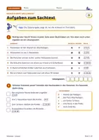 Vorschau - Arbeitsblätter - Die Halloween-Stunde | Klasse 5–6 | Escape-Rätsel, Sachtext, Lückentext, Rätsel + Girlande | LRS - Seite 3