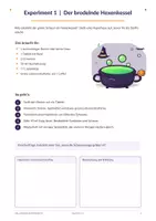 Vorschau - Arbeitsblätter - Halloween-Experimente Klasse 5–6 | 4 Gruselversuche aus Chemie und Physik - Seite 2
