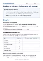 förhandsvisning - đ Insekter pĂ„ hösten â vi observerar och sorterar - försĂ€ttsblad