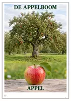 Voorbeeld - Bomen & Fruitbomen – Herfstbundel voor Kleuters - Pagina 3