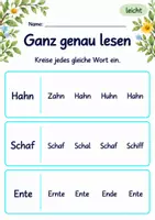 Vorschau - Arbeitsblätter - Wörter genau vergleichen Klasse 1 – Tierfreunde | Deutsch Klasse 1 | 10 Arbeitsblätter als PDF - Seite 3