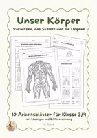 Vorschau - Arbeitsblätter - Unser Körper - Arbeitsblätter rund um das Skelett & Organe - Deckblatt