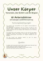 Vorschau - Arbeitsblätter - Unser Körper - Arbeitsblätter rund um das Skelett & Organe - Seite 1