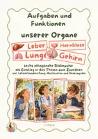 Vorschau - Präsentationen/Tafelbilder - Organe und ihre Funktionen – Bildkarten & Wortkarten | Körper Sachunterricht Klasse 3/4 - Deckblatt
