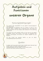 Vorschau - Präsentationen/Tafelbilder - Organe und ihre Funktionen – Bildkarten & Wortkarten | Körper Sachunterricht Klasse 3/4 - Seite 3