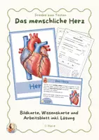 Vorschau - Arbeitsblätter - Das Herz – Arbeitsblatt, Bildkarte | Körper & Organe | Sachunterricht Klasse 3/4 | GRATIS - Deckblatt