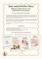 Vorschau - Arbeitsblätter - Das Herz – Arbeitsblatt, Bildkarte | Körper & Organe | Sachunterricht Klasse 3/4 | GRATIS - Seite 1
