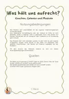 Vorschau - Präsentationen/Tafelbilder - Knochen, Muskeln und Gelenke - Unser Körper | Bildkarten & Wissenskarten - Seite 1
