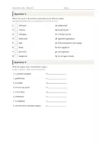 Vista previa - Hojas de trabajo - Vocabulario temático (1 de 2) – Paquete de inglés 2º ESO - página 2