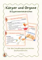 Vorschau - Experimente - Körper und Organe: 8 Experimente für den Sachunterricht - Deckblatt