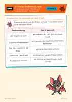 Vorschau - Arbeitsblätter - Gruselige Redewendungen (Klasse 3) - Seite 2
