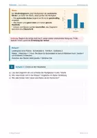 Vorschau - Arbeitsblätter - SÄULENDIAGRAMME – differenziert mit Lösungen - Seite 2