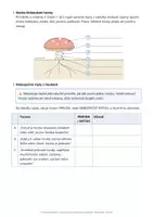 Náhled - 🍄 Kloboukaté tajemství – poznáváme houby a odhalujeme lesní rozkladače - boční 2