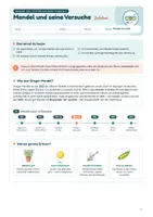 Vorschau - Arbeitsblätter - Gregor Mendel und seine Versuche: Einführung in die Genetik – Leben, Erbsenexperimente & erste Fachbegriffe | Unterrichtsreihe "Genetik", Biologie 9./10. Klasse – inkl. Gruppenprojekt - Seite 1