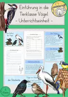 Vorschau - Stundenentwürfe - Vögel Einführung Arten Merkmale Unterrichtseinheit - Deckblatt