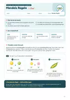 Vorschau - Stundenentwürfe - Materialpaket "Genetik", 9 sorgenfreie Stunden Biologie, 9.-10. Klasse | Inkl. Interaktiver Webseite - Seite 2