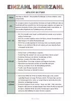 Vorschau - Unterrichtsreihen - Materialpaket: Einzahl und Mehrzahl – Unterrichtsreihe, UB-Stunde und Material - Seite 3