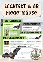 Vorschau - Arbeitsblätter - Fledermäuse - Deckblatt